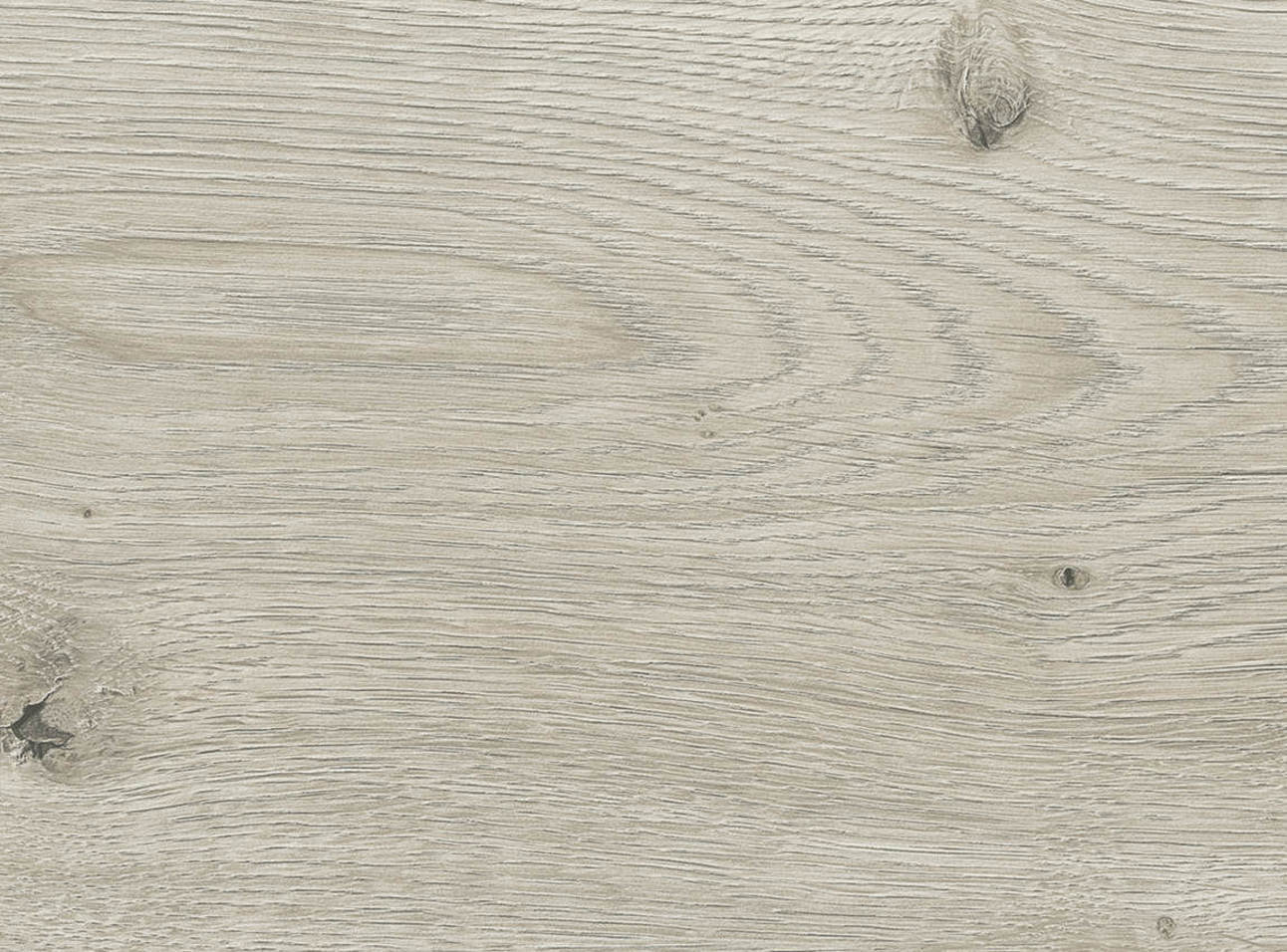 HARO Laminatboden Daily Edition 8mm Landhausdiele 4V Eiche Breda hellgrau* strukturiert Top Connect