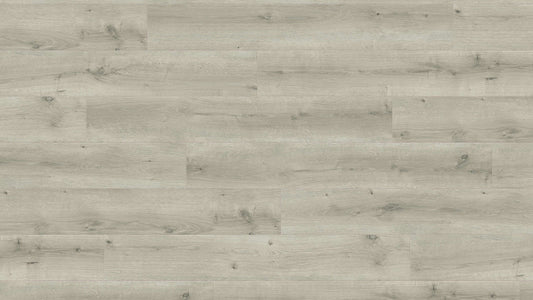 HARO Laminatboden Daily Edition 8mm Landhausdiele 4V Eiche Breda hellgrau* strukturiert Top Connect