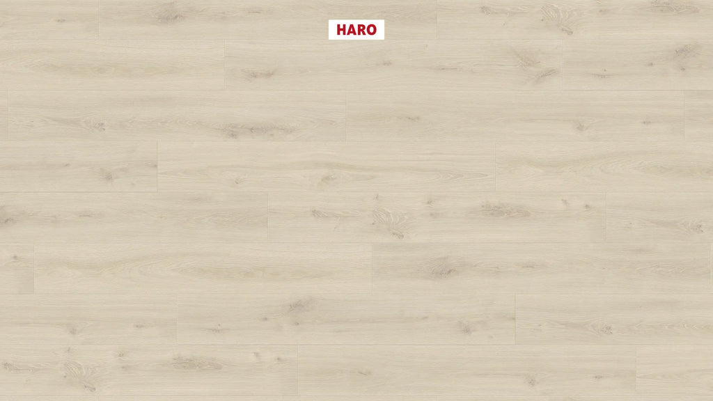 HARO Laminatboden Daily Edition 8mm Landhausdiele 4V Eiche Alta cremeweiß* strukturiert Top Connect