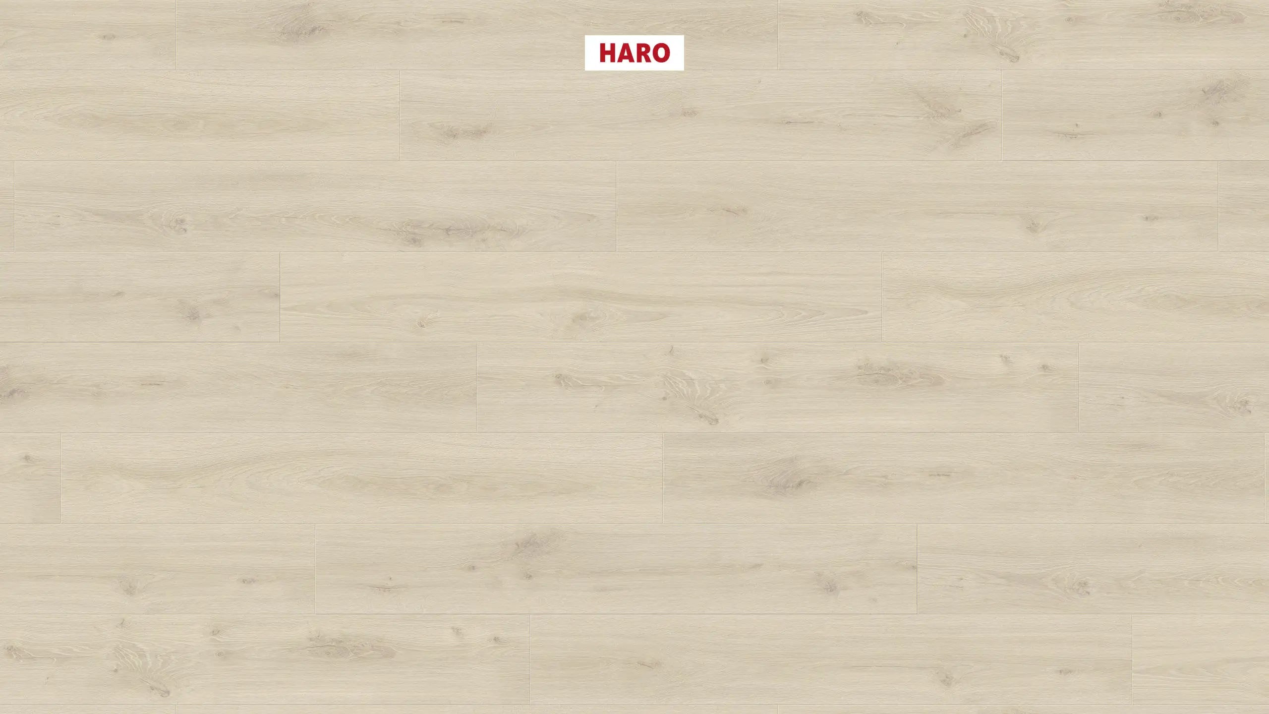 HARO Laminatboden Daily Edition 8mm Landhausdiele 4V Eiche Alta cremeweiß* strukturiert Top Connect