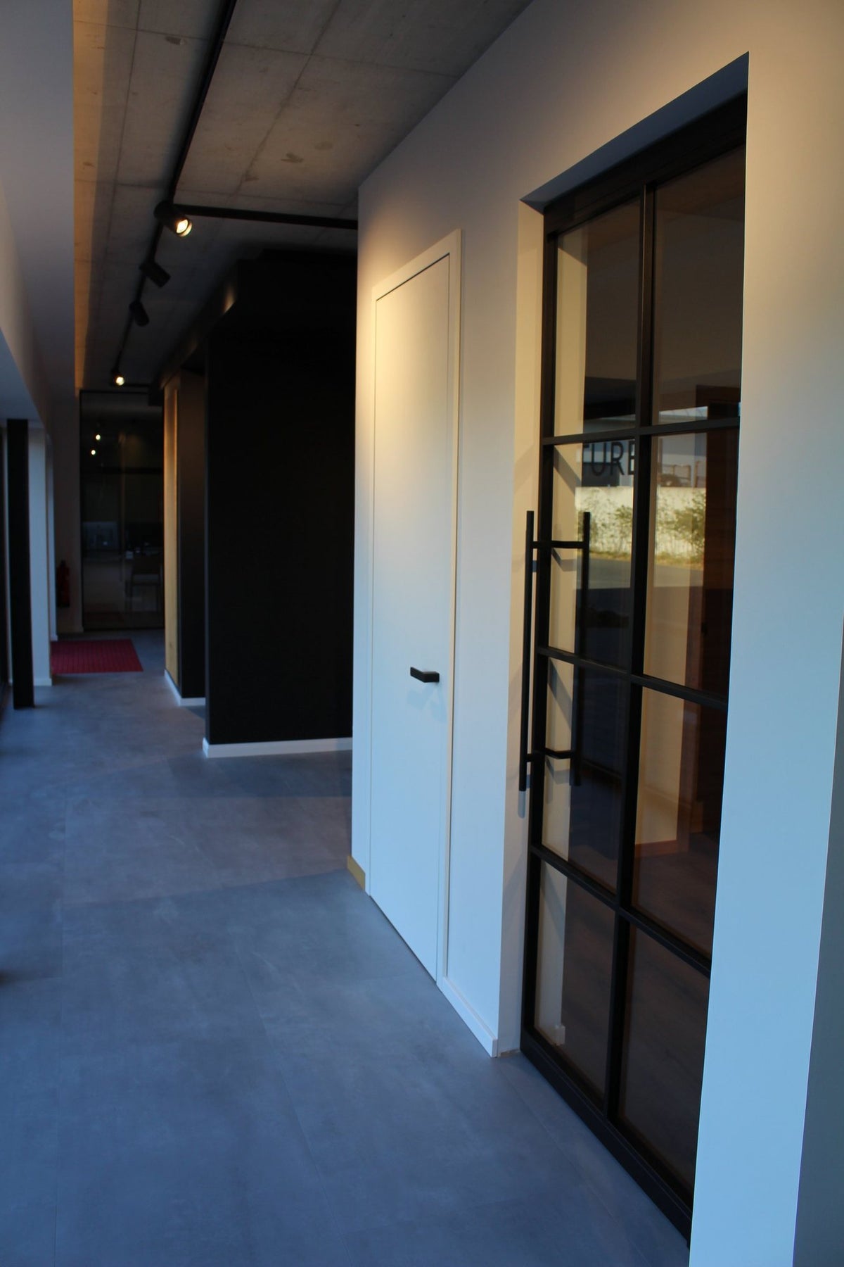 Lofttüren aus Stahl und Glas